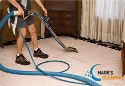 Carpet Cleaning SW12