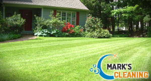 lawn-mowing-services-balham